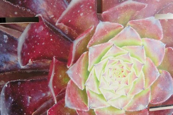 uv平板机打印的密度板图案